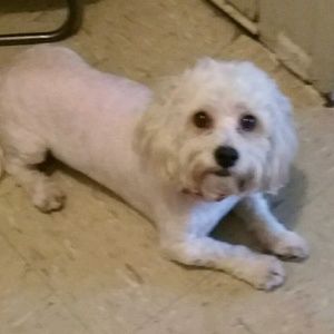 Meet your Posher, Starr